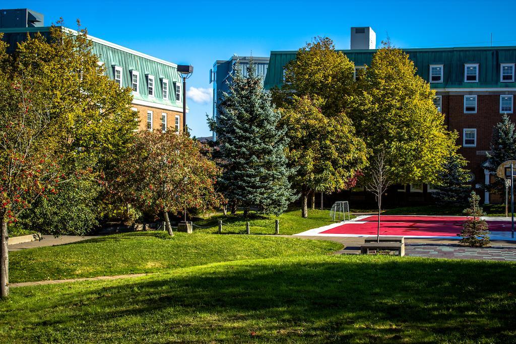 Memorial University St. John's Bagian luar foto