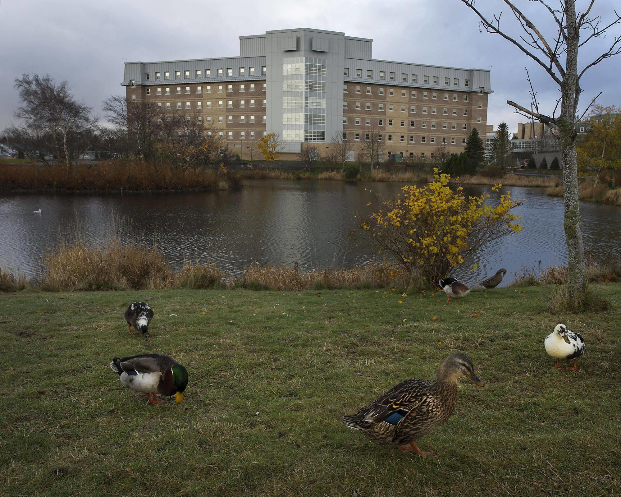 Memorial University St. John's Bagian luar foto